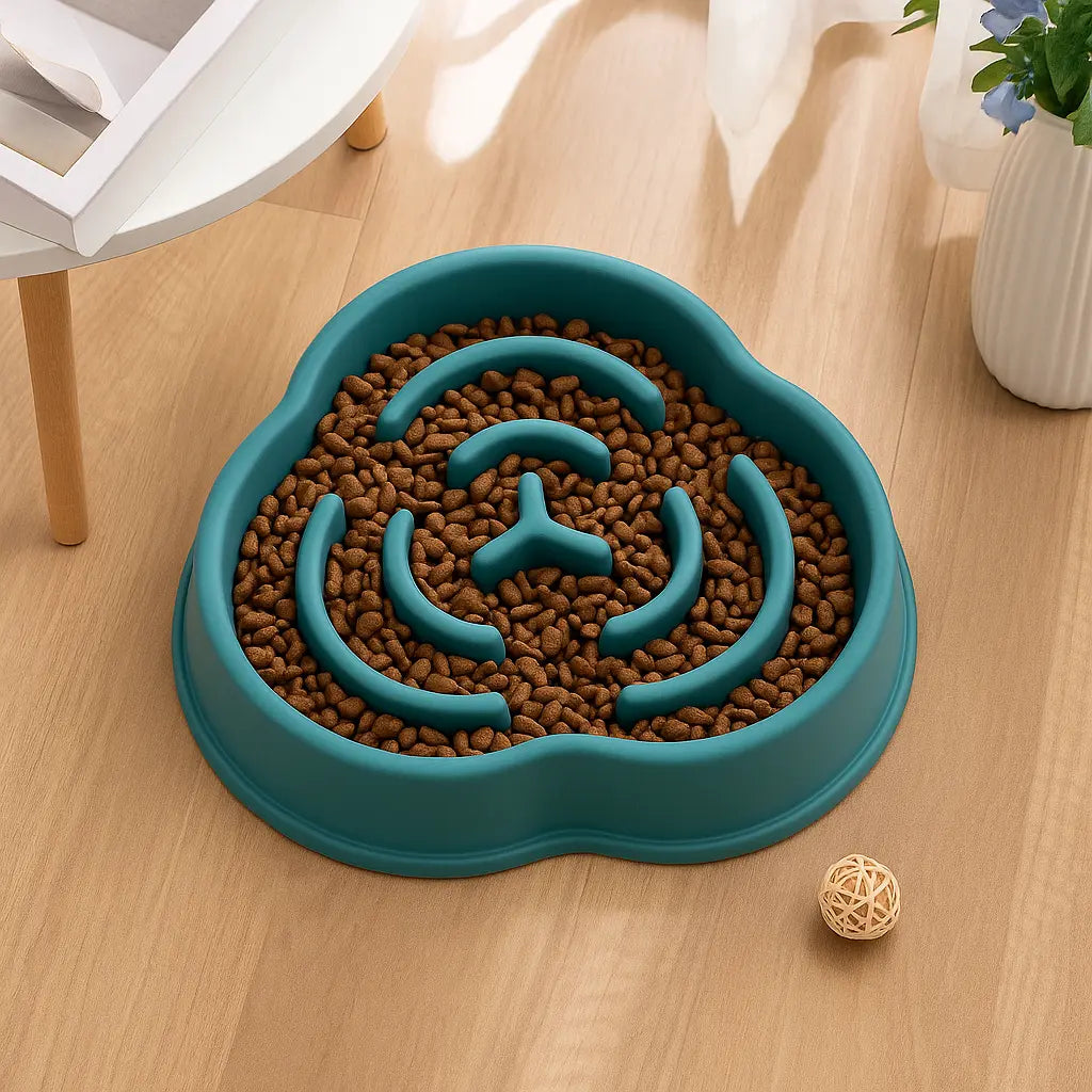 Green dog bowl filled with kibble placed on wooden floor with natural light